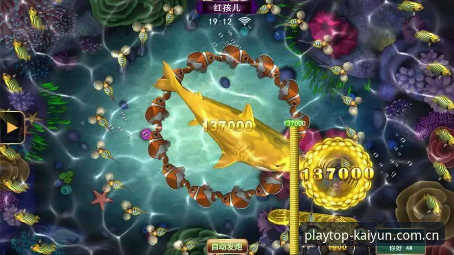 kaiyun官方平台完整使用指南：从登录到娱乐体验的全面解析
